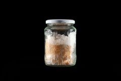Einmachglas mit Pilzwurzeln, die auf Baumwollstoff wachsen