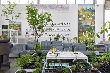 Raum mit Pflanzkästen, Pflanzen und Naturabbildungen