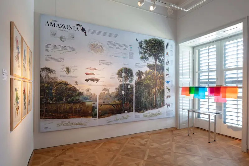 Ausstellungsansicht einer Informationsgrafik über den Amazonas 