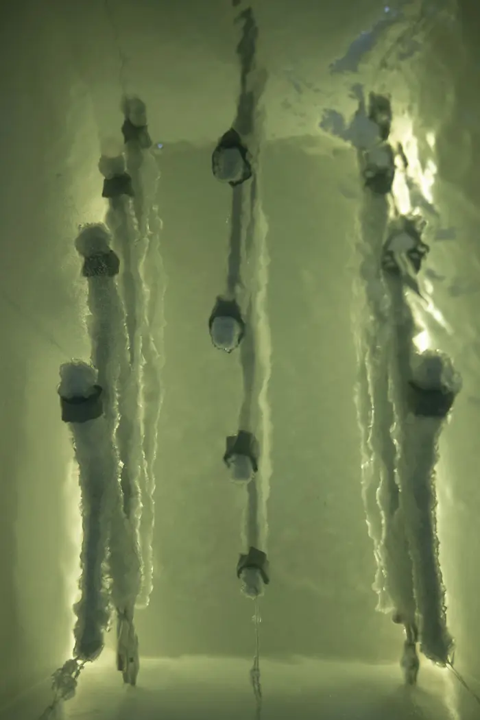 Weiße Stangen in einem hellen eckigen Behältnis, die mit Kristallen überzogen sind