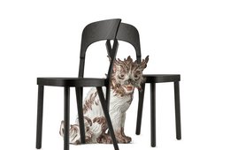 Johann Joachim Kaendler, Johann Gottlieb Kirchner, Bologneser Hund Meissen, ca. 1734, Porzellan, Porzellansammlung Porzellanhund zwischen zwei Stühlen