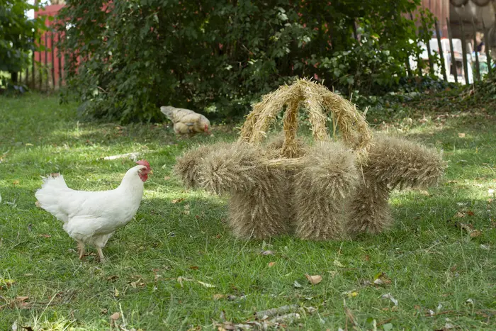 Studio Johanna Seelemann, Harvest Crown (Erntekrone), 2023